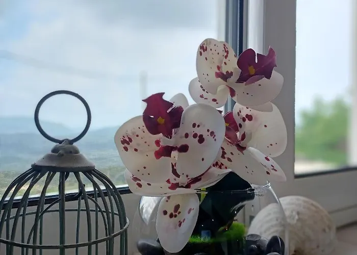 Appartement Zoggos *