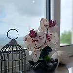 Apartment Zoggos *