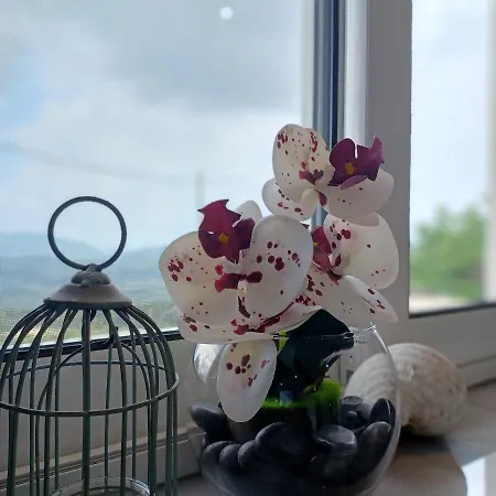 Appartement Zoggos *