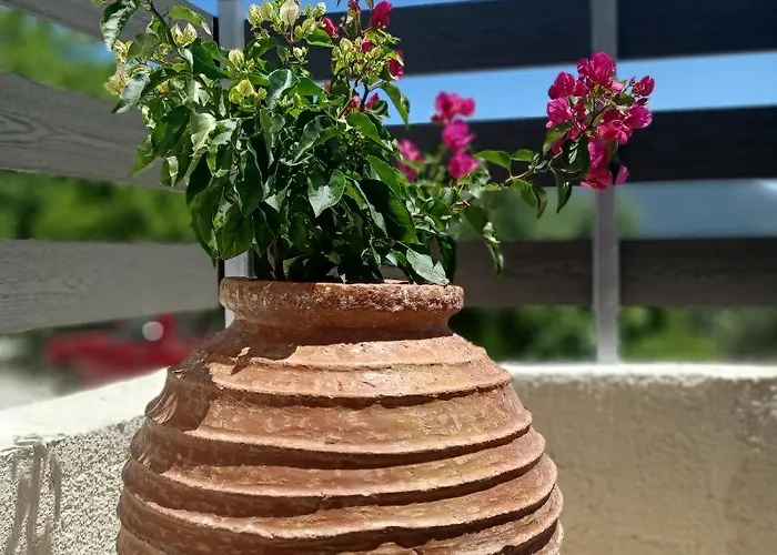 Zoggos Ágios Pétros